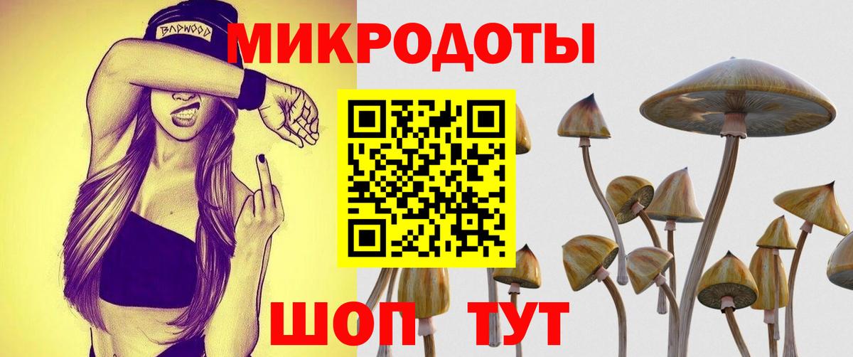 Галлюциногенные грибы Psilocybine cubensis  Вход с VPN  Чапаевск 